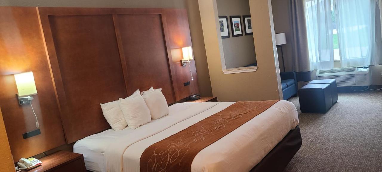 Comfort Suites New Braunfels Dış mekan fotoğraf