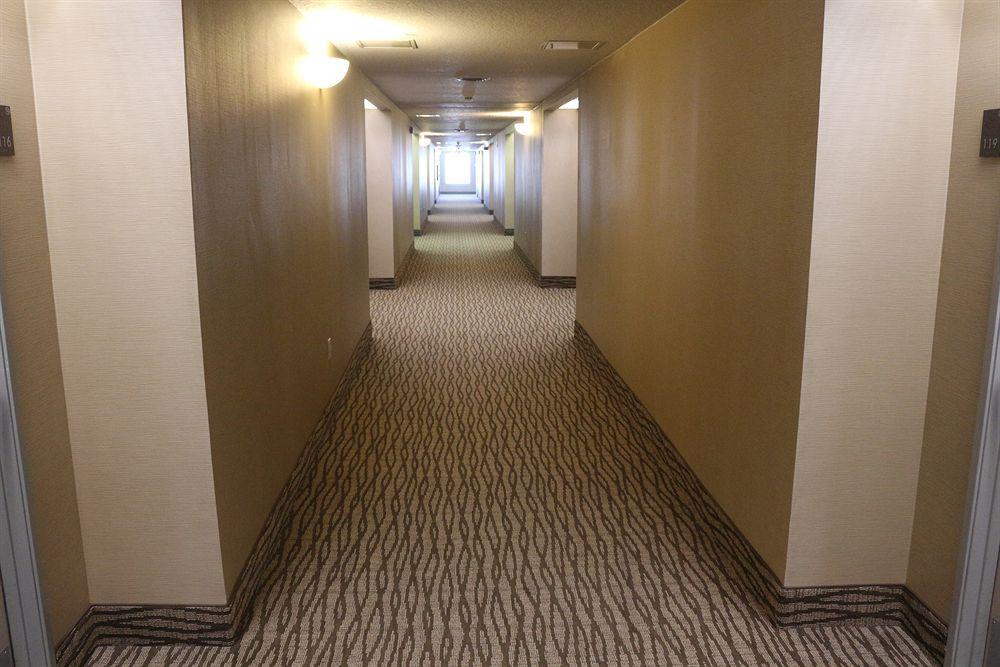 Comfort Suites New Braunfels Dış mekan fotoğraf