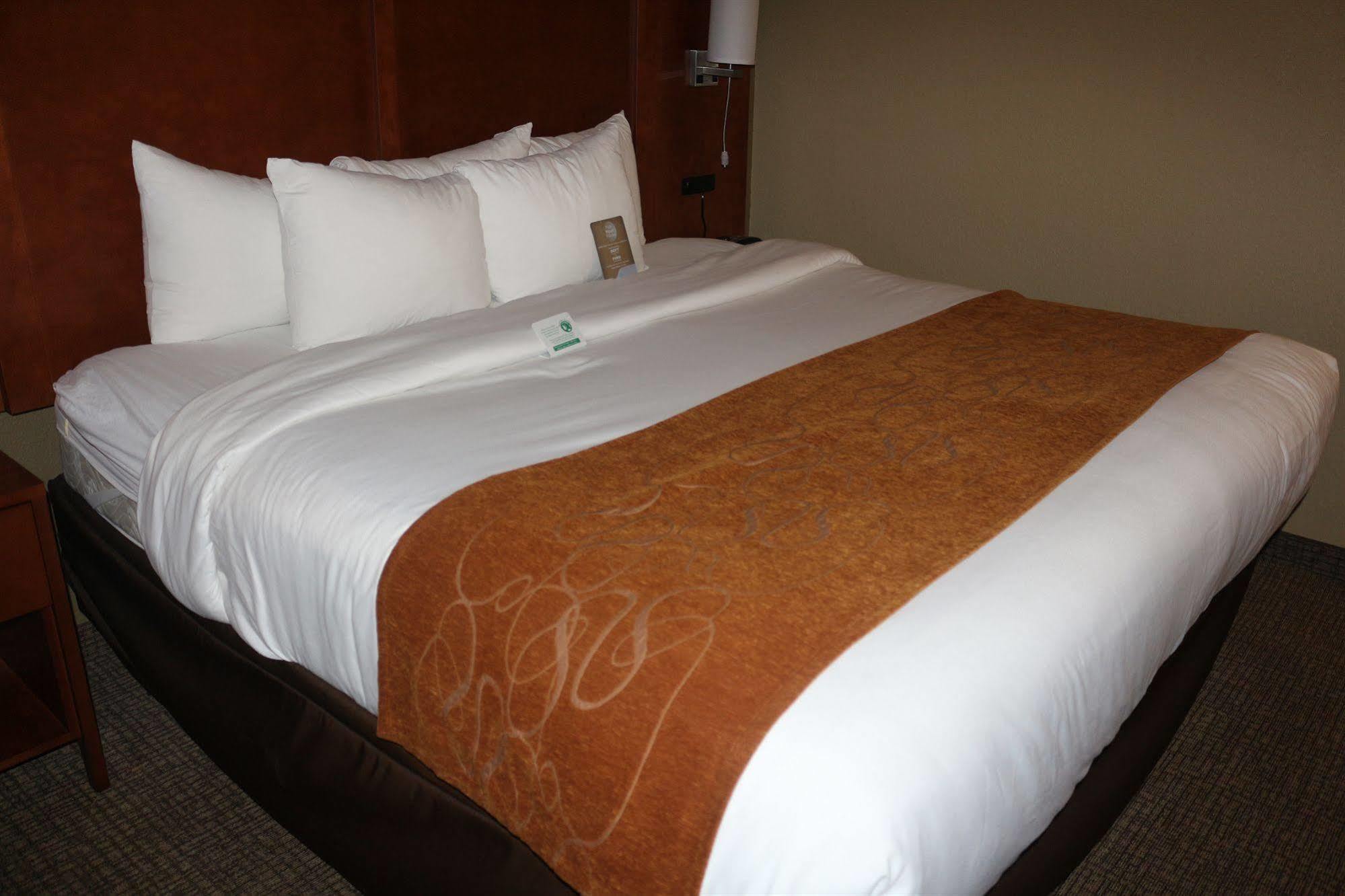Comfort Suites New Braunfels Dış mekan fotoğraf